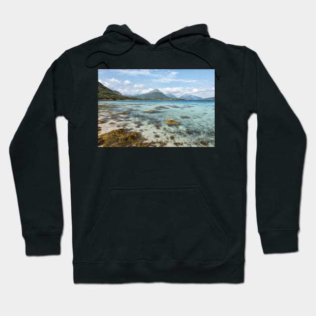 Not Quite Tropical, But Still Paradise Hoodie by krepsher